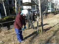 土壌膨軟化工の様子