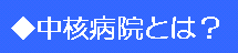 中核病院とは？