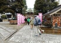 清川地区ウォーキングの様子