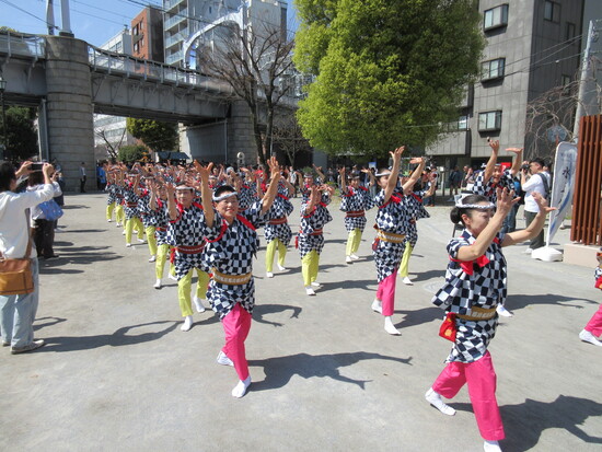 桜橋花まつりの様子画像